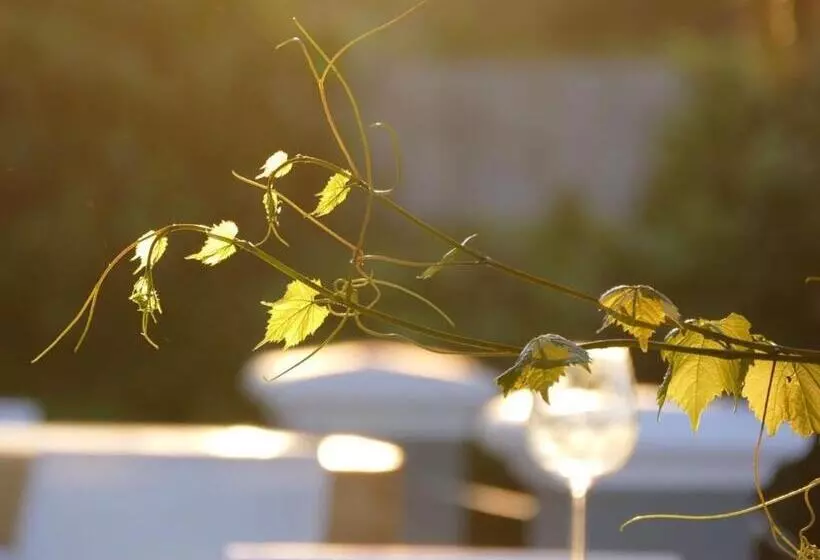 Bloemenzee Boutique B&b