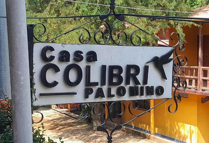 هتل Casa Colibri Palomino