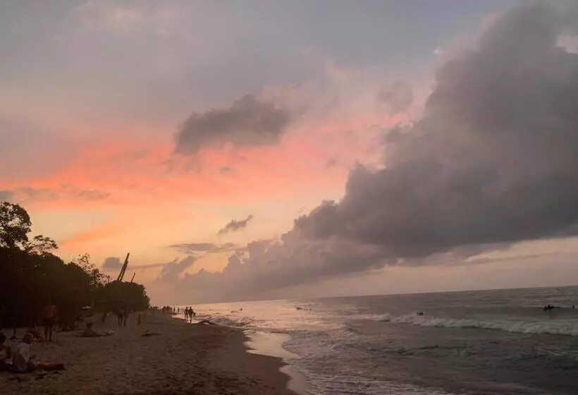 Hotelli Casa Colibri Palomino