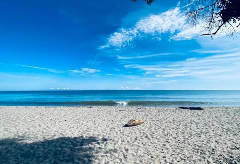 هتل Casa Colibri Palomino