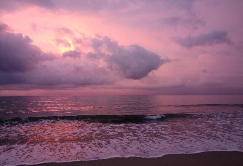 هتل Casa Colibri Palomino