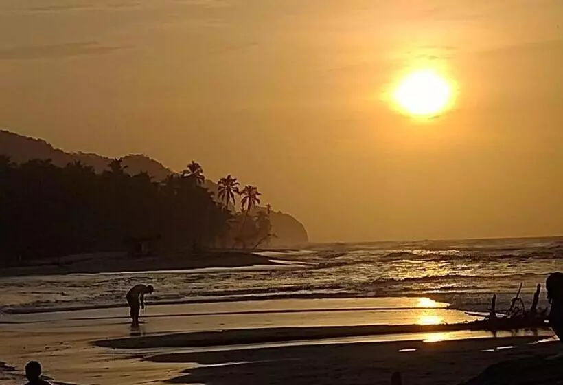Hotelli Casa Colibri Palomino