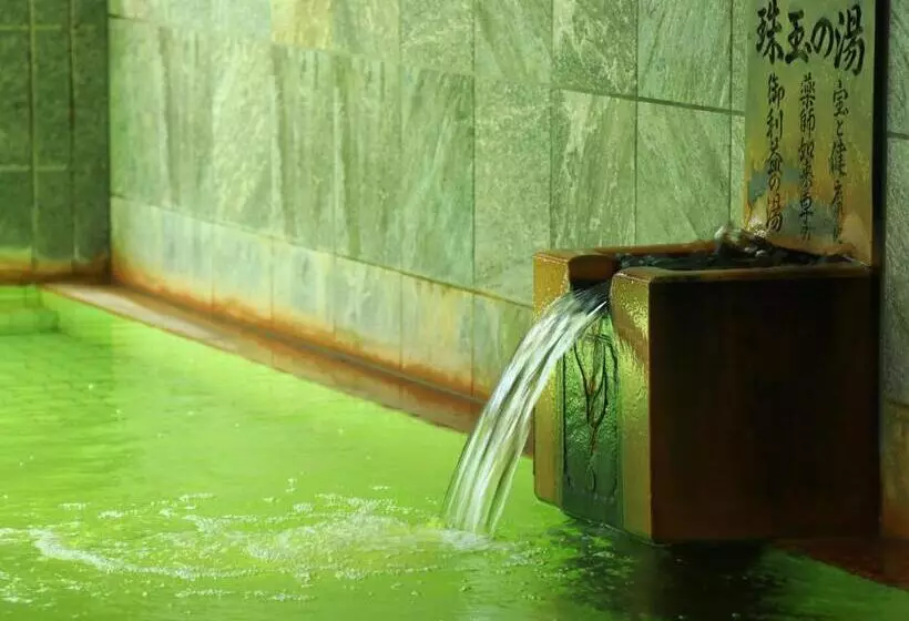Ryokan Shugyoku No Yu Yakushido Onsen