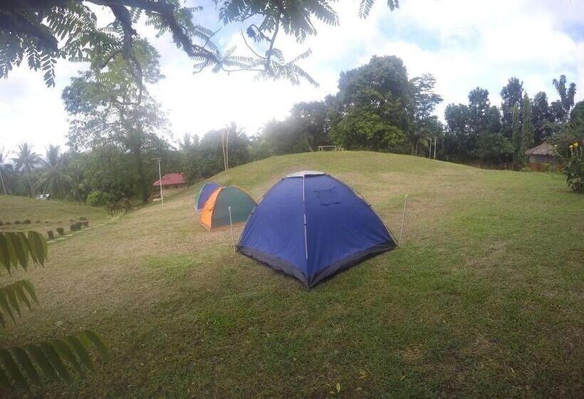 Al Hamra Jungle Resort