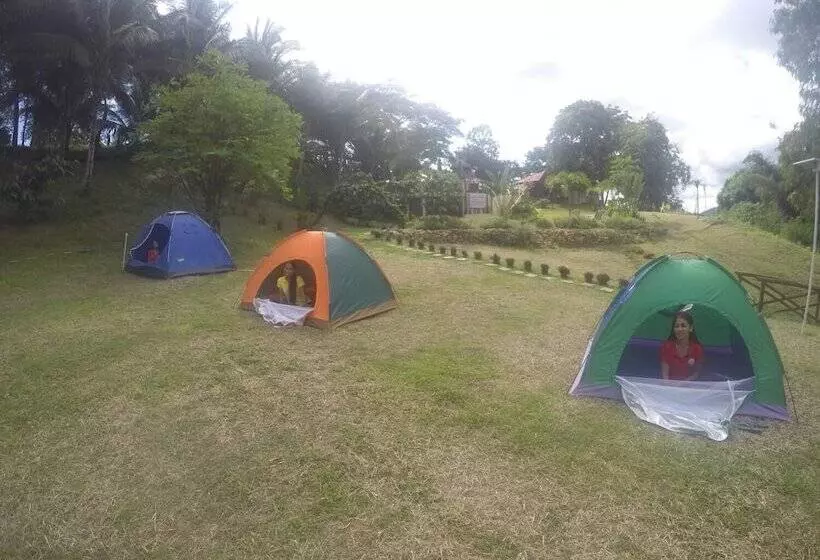 Al Hamra Jungle Resort