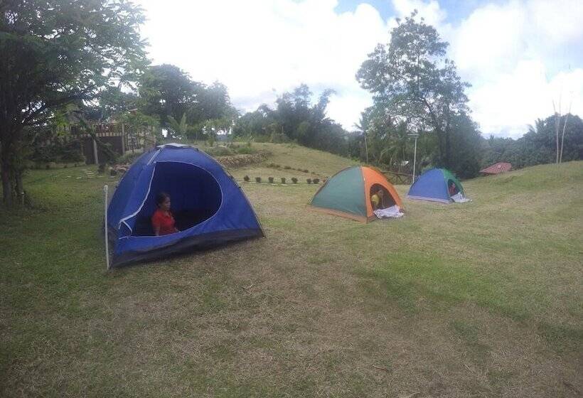 Al Hamra Jungle Resort