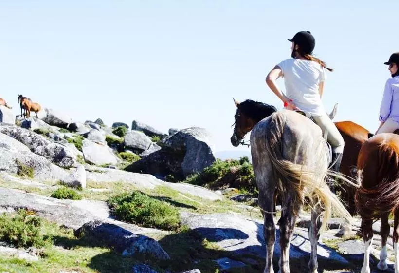 ユースホステル Ideas Peregrinas