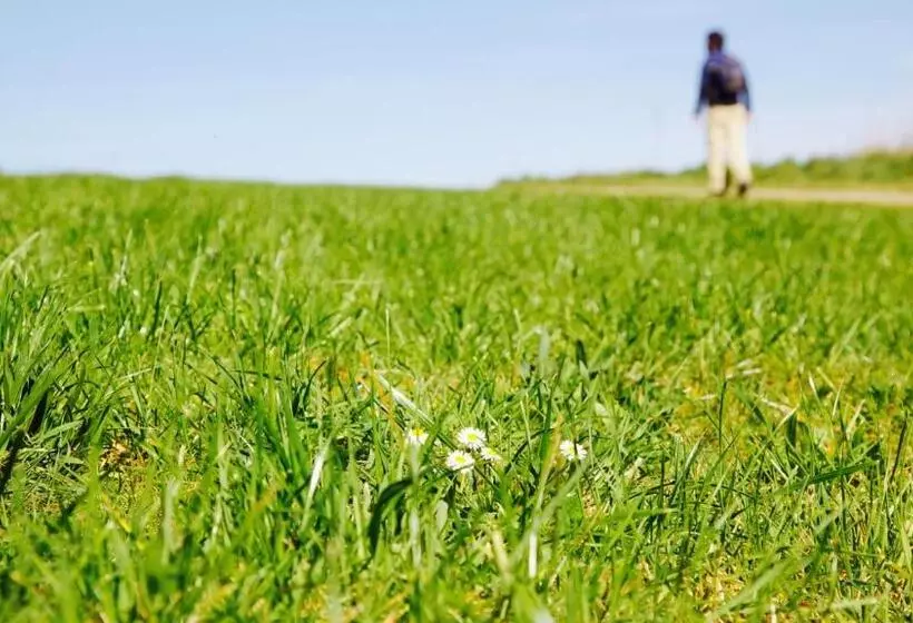 ユースホステル Ideas Peregrinas