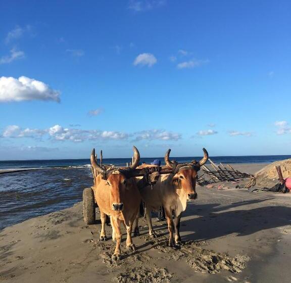 مبيت وإفطار Casitas Pacific