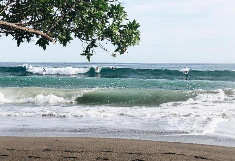 مبيت وإفطار Casitas Pacific