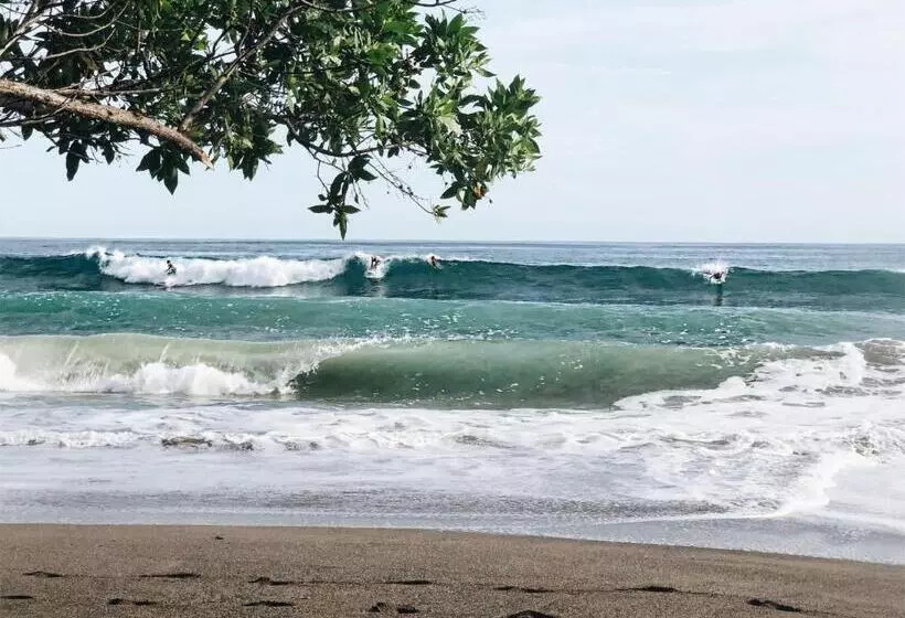 Aamiaismajoitus (B&B) Casitas Pacific