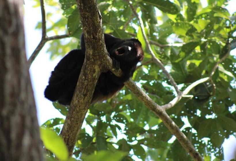مبيت وإفطار Casitas Pacific