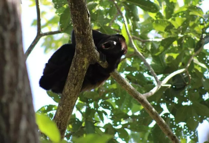 Aamiaismajoitus (B&B) Casitas Pacific