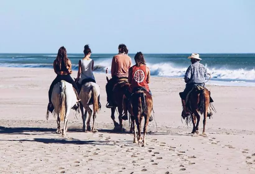 Aamiaismajoitus (B&B) Casitas Pacific