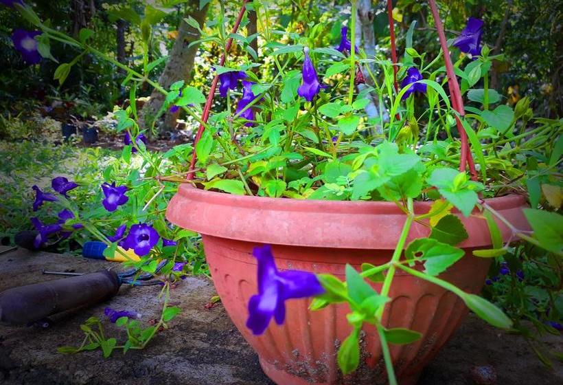 צימר Nisala Villa   Midigama