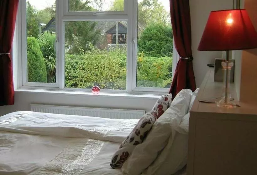 Savannah Bed And Breakfast