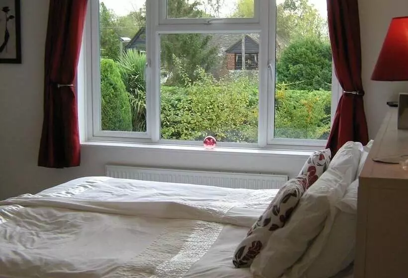 Savannah Bed And Breakfast