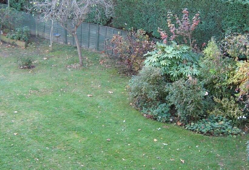 Savannah Bed And Breakfast