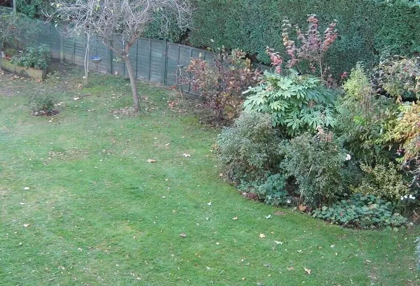 Savannah Bed And Breakfast