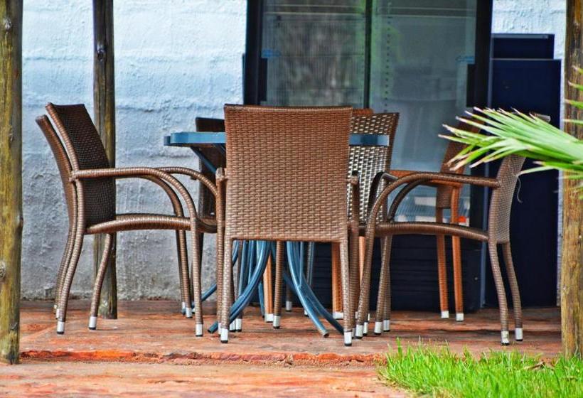 تختخواب و صبحانه Cosy Palms