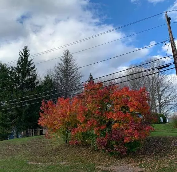 Aamiaismajoitus (B&B) Georgian Garden