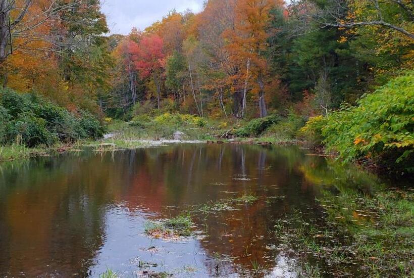 צימר Georgian Garden