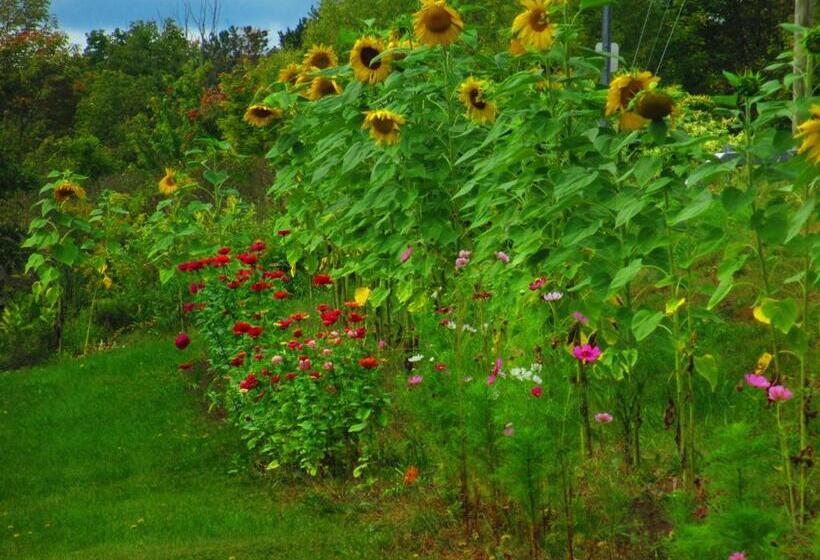 צימר Georgian Garden