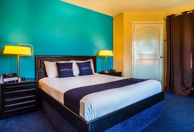 فندق Mediterraneo