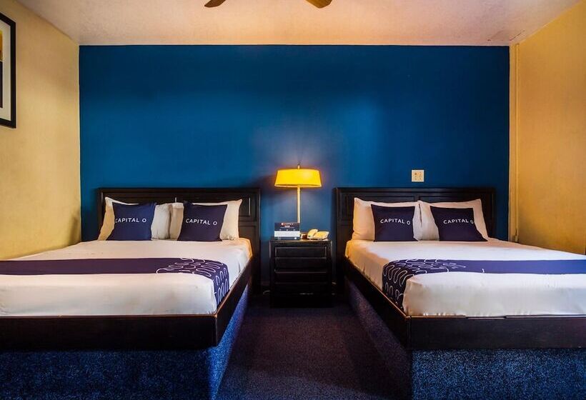 فندق Mediterraneo