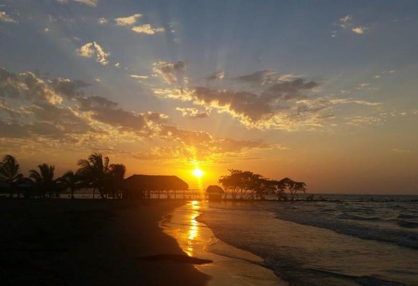 هتل Playa Tiburón