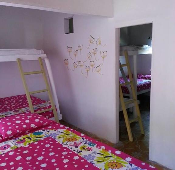 هتل Playa Tiburón