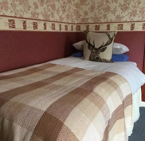 هتل The Stag Head
