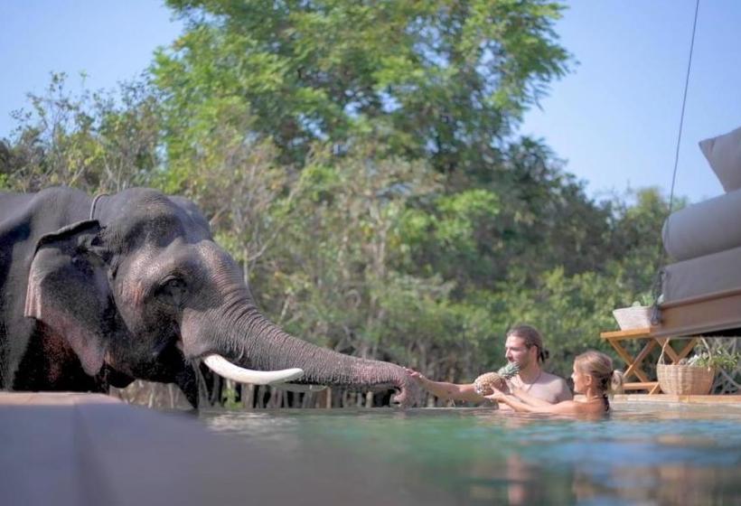 استراحتگاه The Beige