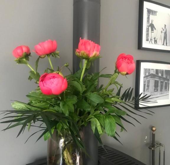 Bed and Breakfast Maison D Hôtes La Villa Madeleine