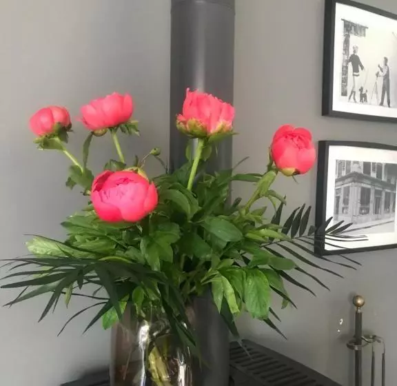 ベッドアンドブレックファースト Maison D Hôtes La Villa Madeleine