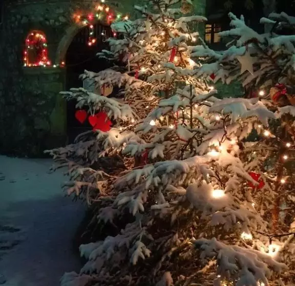 تختخواب و صبحانه Profum Di Bosc