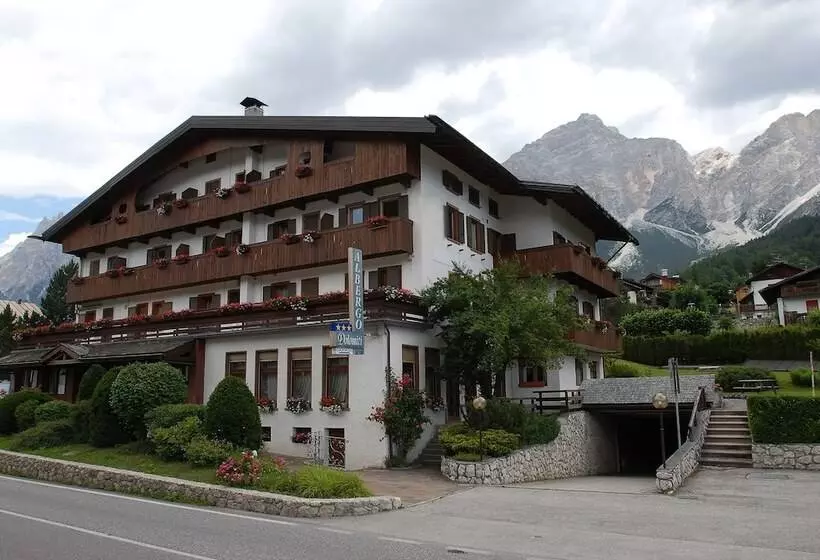 ホテル Albergo Dolomiti