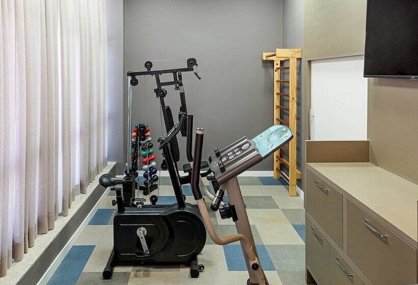 בית מלון כפרי Ibis Styles Birigui