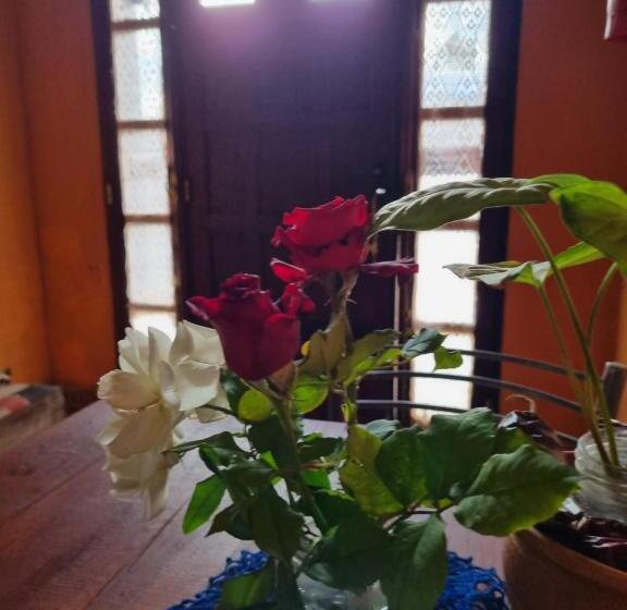 مبيت وإفطار Cardones De Molinos