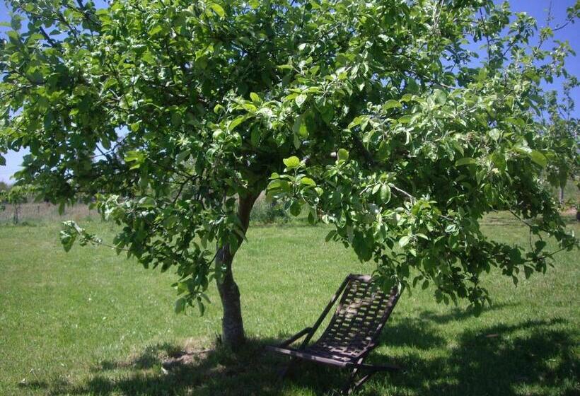 צימר Casa Torreteyera