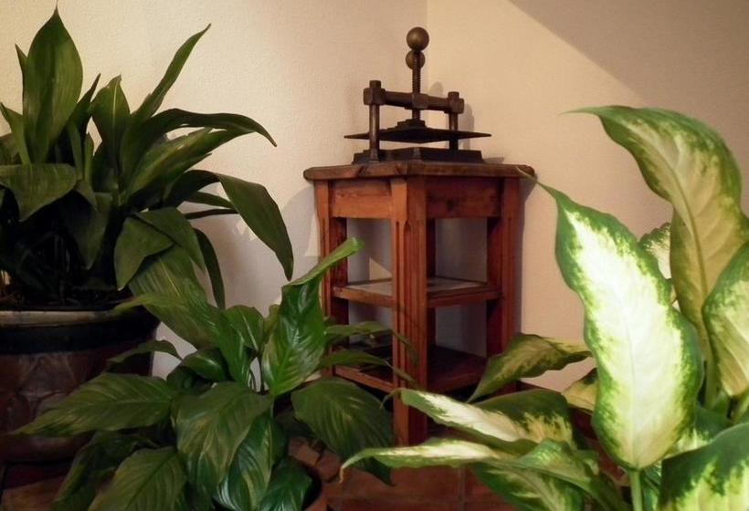 住宿加早餐 Posada De Muño