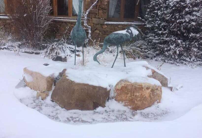 Hotel Allucant   Gallocanta