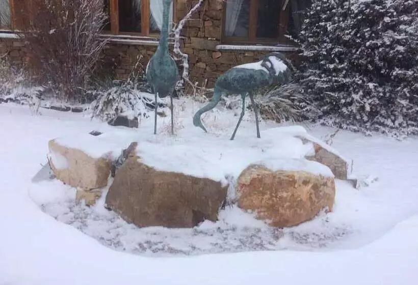 Hotel Allucant   Gallocanta