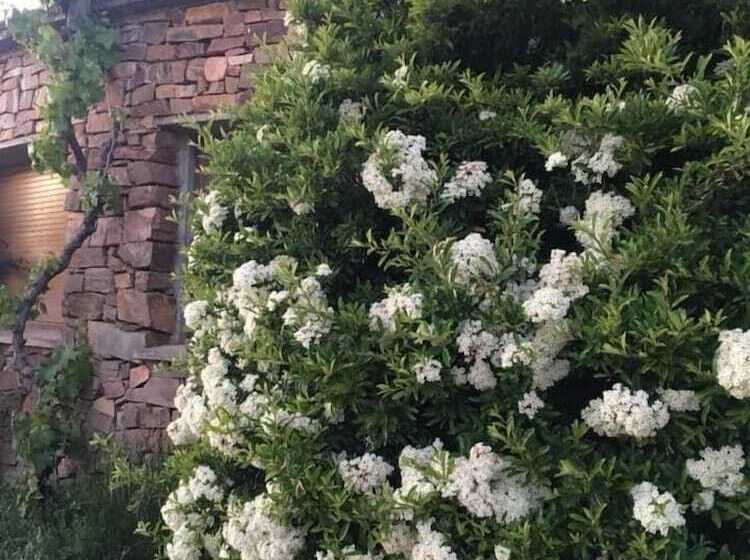 Hotel Allucant   Gallocanta