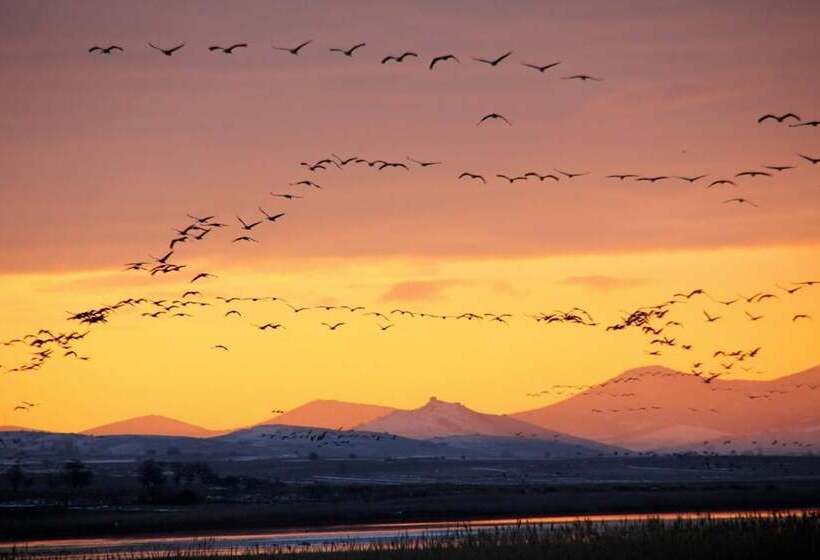 Hotel Allucant   Gallocanta