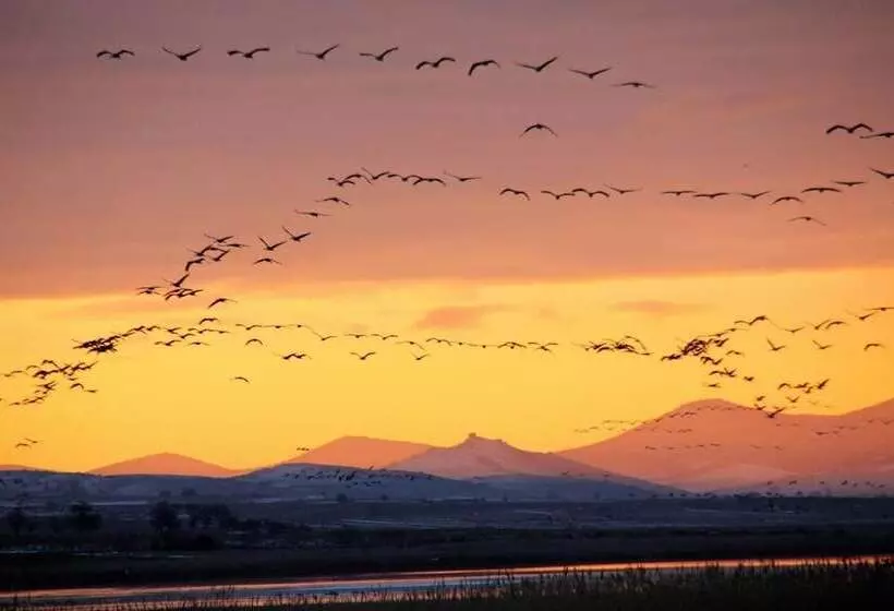 Hotel Allucant   Gallocanta