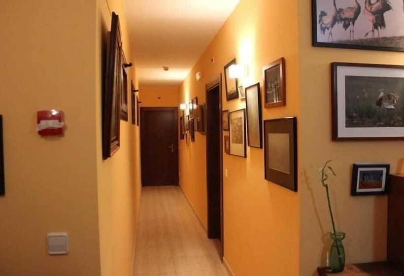 Hotel Allucant   Gallocanta