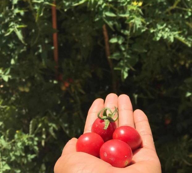 酒店 Pousada Pais Tropical