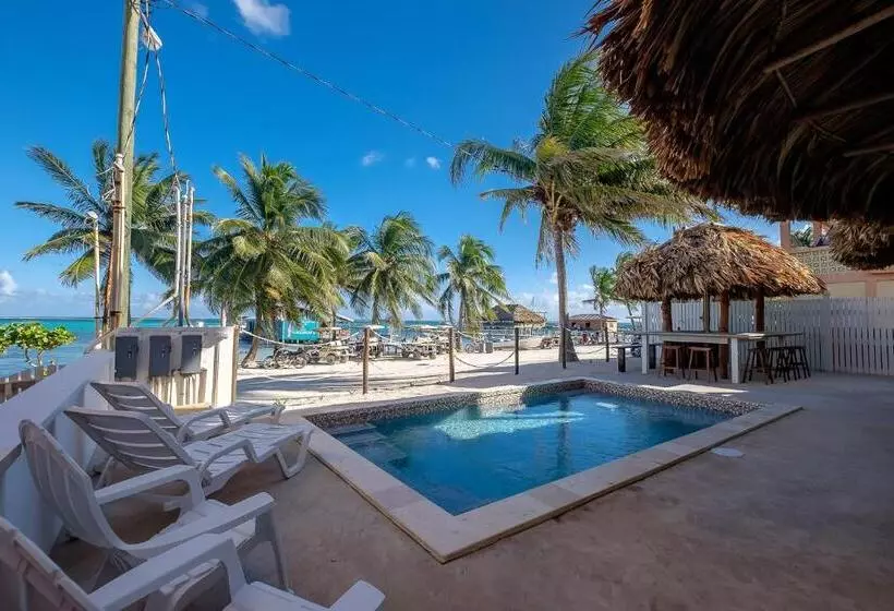 Hotelli The Palapa House