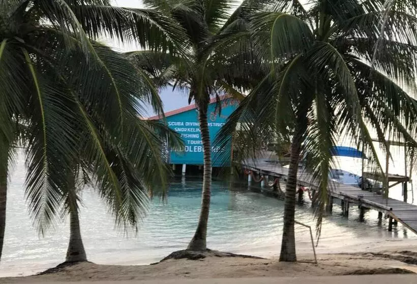 Hotelli The Palapa House